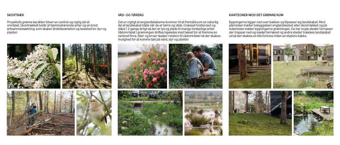Grønne rum og biodiversitet